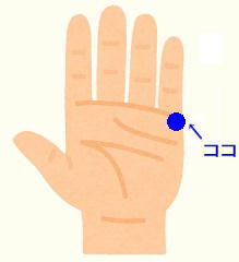 body_hand_tenohira2.jpg