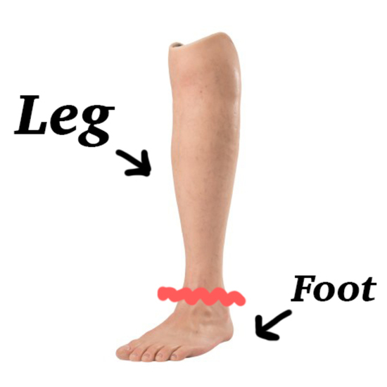 foot-leg.jpg