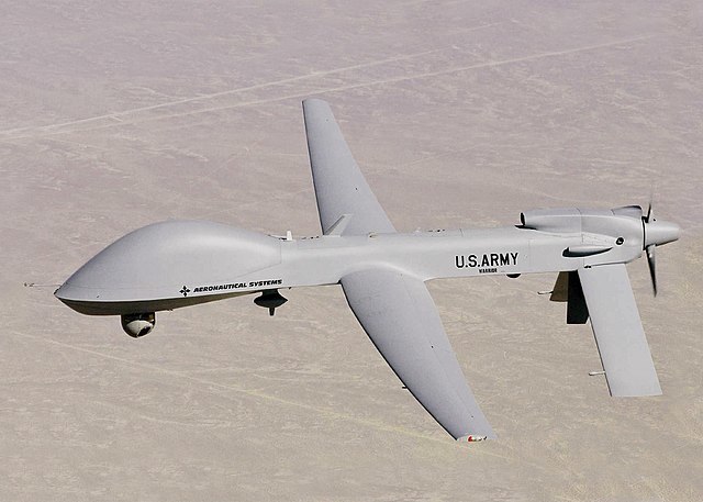 grey-eagle.jpg