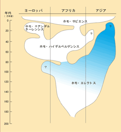 hito.gif