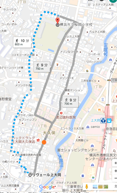 kamio1.gif