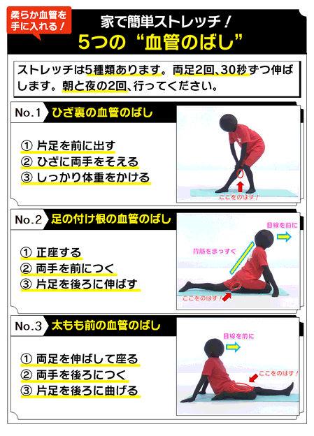 kekkan-nobasi11.png