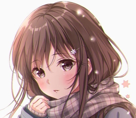 muffler4.jpg