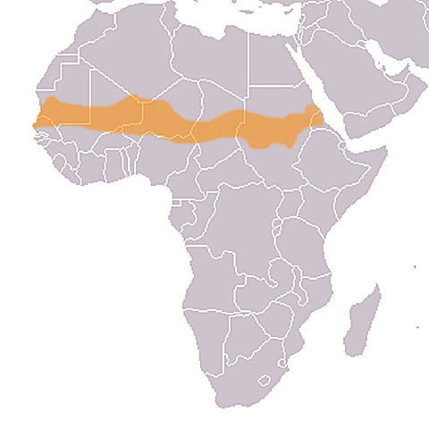 sahel.jpg